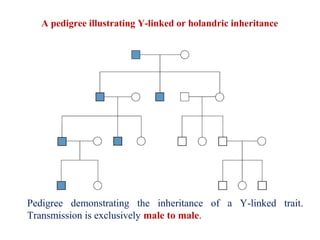 Genetics dentistry inheritance patterns or modes of inheritance 1 | PPT