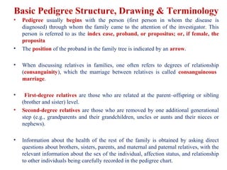 using the family structural theory second marriage