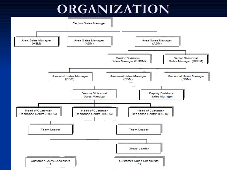 Org Chart Forbes