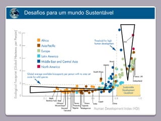 Desafios para um mundo Sustentável




       Faça clique para editar o estilo




23/05/10
 