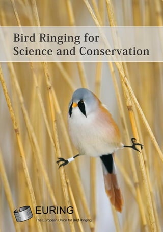 Bird Ringing for
Science and Conservation




   EURING
   The European Union for Bird Ringing
 