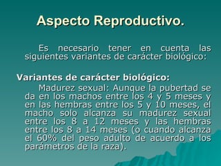 Aspecto Reproductivo. <ul><li>Es necesario tener en cuenta las siguientes variantes de carácter biológico: </li></ul><ul><...