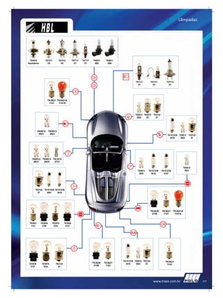 Lãmpadas




www.traex.com.br         117
 