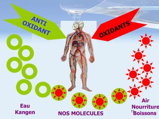 Eau Kangen Air Nourriture Boissons  NOS MOLECULES OXIDANTS ANTI OXIDANT 