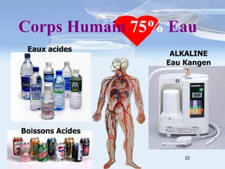 Corps Humain  75%  Eau ALKALINE Eau Kangen Eaux acides Boissons Acides 