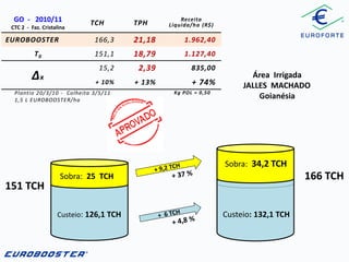 GO - 2010/11
CTC 2 - Faz. Cristalina

∆x

TPH

Receita
Líquida/ha (R$)

166,3

21,18

1.962,40

151,1

18,79

1.127,40

15,2

2,39

835,00

+ 10%

EUROBOOSTER
T0

TCH

+ 13%

+ 74%

Plantio 20/3/10 - Colheita 3/5/11
1,5 L EUROBOOSTER/ha

Kg POL = 0,50

Área Irrigada
JALLES MACHADO
Goianésia

Sobra: 34,2 TCH

151 TCH

166 TCH

Sobra: 25 TCH

Custeio: 126,1 TCH

Custeio: 132,1 TCH

 