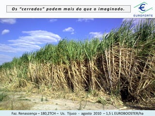 Os “cerrados” podem mais do que o imaginado.

Faz. Renascença – 180,2TCH – Us. Tijuco - agosto 2010 – 1,5 L EUROBOOSTER/ha

 