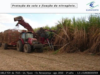 Proteção do solo e fixação do nitrogênio.

180,2 TCH da 7515 – Us. Tijuco – Fz. Renascença – ago. 2010 - 1ª safra - 1,5 L EUROBOOSTER

 