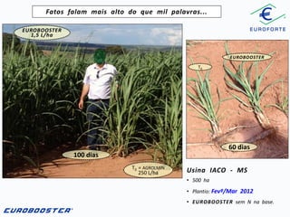 Fatos falam mais alto do que mil palavras...
EUROBOOSTER
1,5 L/ha

EUROBOOSTER
T0

60 dias
100 dias
T0 = AGROLMIN
250 L/ha

Usina IACO - MS
• 500 ha

• Plantio: Fevº/Mar 2012
• EUROBOOSTER sem N na base.

 