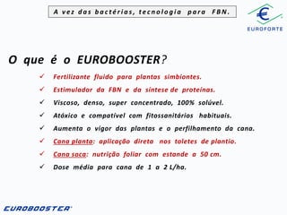A vez das bactérias, tecnologia para FBN.

O que é o EUROBOOSTER?


Fertilizante fluido para plantas simbiontes.



Estimulador da FBN e da síntese de proteínas.



Viscoso, denso, super concentrado, 100% solúvel.



Atóxico e compatível com fitossanitários habituais.



Aumenta o vigor das plantas e o perfilhamento da cana.



Cana planta: aplicação direta nos toletes de plantio.



Cana soca: nutrição foliar com estande a 50 cm.



Dose média para cana de 1 a 2 L/ha.

 