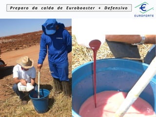 Preparo da calda de Eurobooster + Defensivo

Usina Jalles Machado - GO - 2010/11

 