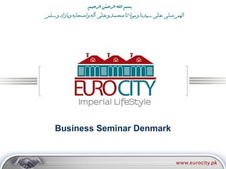Business Seminar Denmark
 