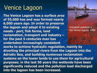 Venice Lagoon The Venice Lagoon has a surface area  of 55,000 has and was formed nearly  6,000 years ago. In order to preserve  the lagoon and adapt it to existing  needs - port, fish farms, land  reclamation, transport and industry –  for the past 5 centuries man has  undertaken increasingly consistent  works to achieve hydraulic regulation, mainly by diverting the principal rivers from the Lagoon into the Adriatic Sea, and building numerous reclamation systems on the lower lands to use them for agricultural purposes; in the last 50 years the wetlands have been significantly reduced and the pollution load discharged into the lagoon has been increased.  Industrial pollution in the Venice lagoon, 1998 