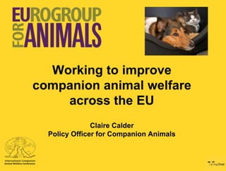 Working to improve
companion animal welfare
across the EU
Claire Calder
Policy Officer for Companion Animals

 
