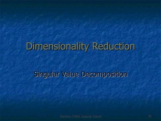 Dimensionality Reduction Singular Value Decomposition 