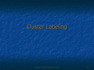 Cluster Labeling 