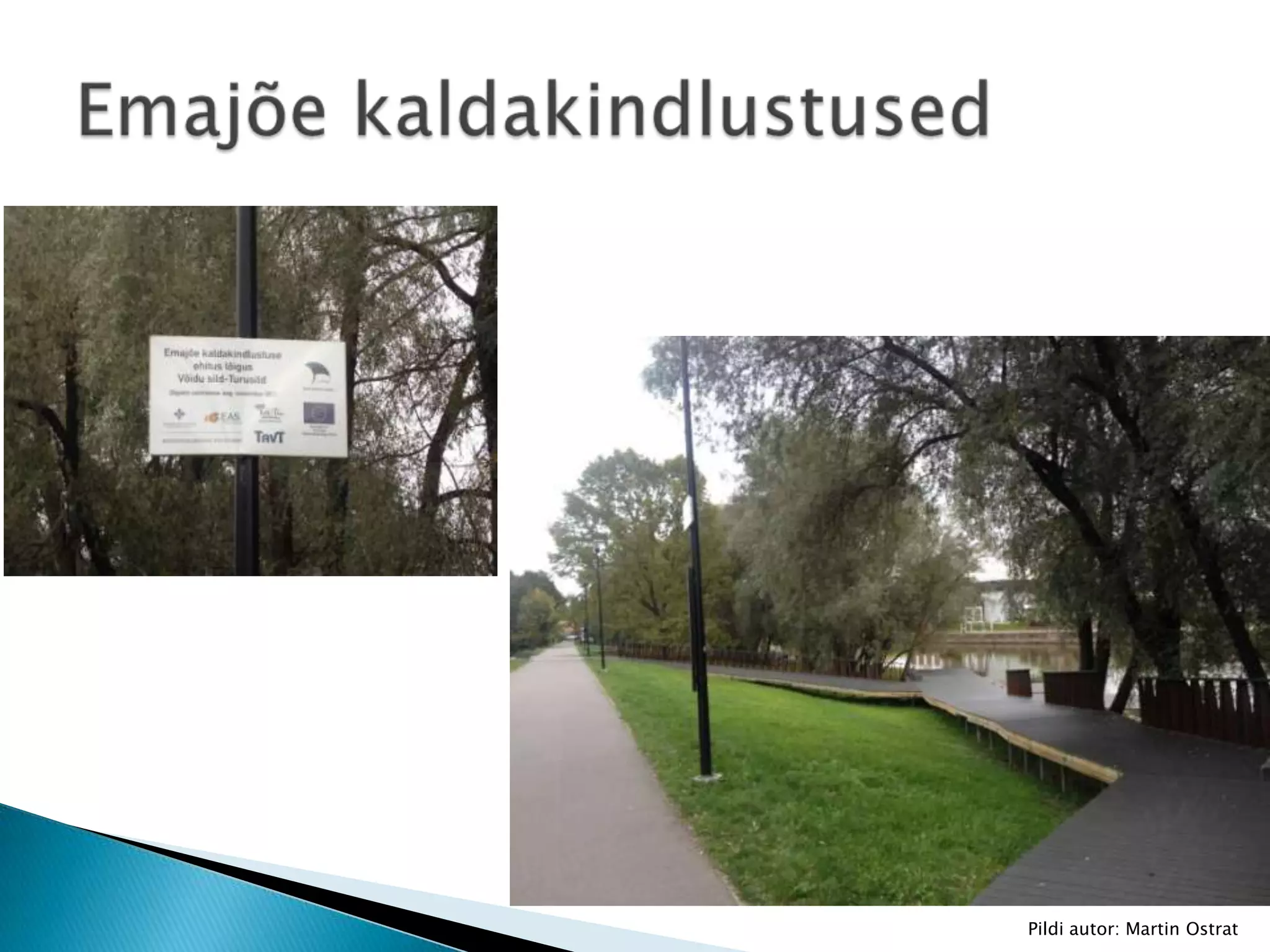 Pildi autor: Martin Ostrat

 