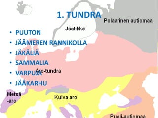 1. TUNDRA
•   PUUTON
•   JÄÄMEREN RANNIKOLLA
•   JÄKÄLIÄ
•   SAMMALIA
•   VARPUJA
•   JÄÄKARHU
 