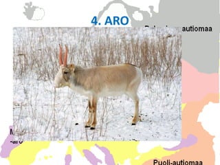 4. ARO
•   PUUTON
•   SIPULIKASVEJA JA RUOHOJA
•   MAATALOUSKÄYTÖSSÄ
•   VÄHÄN JÄLJELLÄ
•   SAIGA
 