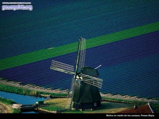 Molino en medio de los campos, Países Bajos