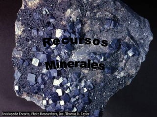 Recursos Minerales 