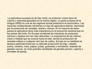 La agricultura europea es de tipo mixto: se producen varios tipos de cultivos y actividad ganadera en la misma región. La parte europea de la antigua URSS es una de las regiones donde predomina el monocultivo. Las naciones mediterráneas mantienen un tipo de agricultura distinto, dominado por la producción de cereales, aceite y cítricos. En la mayoría de estos países la agricultura tiene más importancia en la economía nacional que en los países del norte. En Europa occidental las industrias de productos cárnicos y lácteos son las más relevantes. La importancia de los cultivos crece a medida que se avanza hacia el este, donde la producción de cereales eclipsa a cualquier otro tipo de cultivo. Europa en su totalidad se destaca particularmente por su elevada producción de trigo, cebada, avena, centeno, maíz, papas, judías, guisantes y remolacha. Además de ganado vacuno, se crían grandes cantidades de ganado porcino, caprino y animales de granja. 