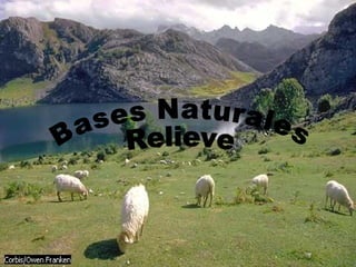 Bases Naturales Relieve 