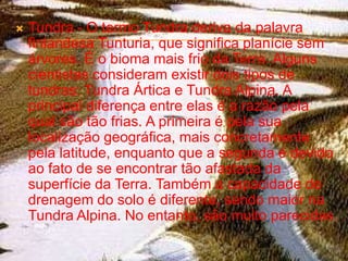   Tundra - O termo Tundra deriva da palavra
    finlandesa Tunturia, que significa planície sem
    árvores. É o bioma mais frio da Terra. Alguns
    cientistas consideram existir dois tipos de
    tundras: Tundra Ártica e Tundra Alpina. A
    principal diferença entre elas é a razão pela
    qual são tão frias. A primeira é pela sua
    localização geográfica, mais concretamente
    pela latitude, enquanto que a segunda é devido
    ao fato de se encontrar tão afastada da
    superfície da Terra. Também a capacidade de
    drenagem do solo é diferente, sendo maior na
    Tundra Alpina. No entanto, são muito parecidas.
 