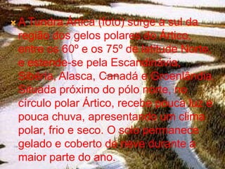  A Tundra   Ártica (foto) surge a sul da
 região dos gelos polares do Ártico,
 entre os 60º e os 75º de latitude Norte,
 e estende-se pela Escandinávia,
 Sibéria, Alasca, Canadá e Groenlândia.
 Situada próximo do pólo norte, no
 círculo polar Ártico, recebe pouca luz e
 pouca chuva, apresentando um clima
 polar, frio e seco. O solo permanece
 gelado e coberto de neve durante a
 maior parte do ano.
 