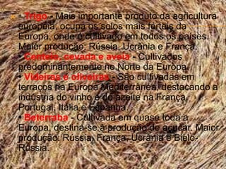    • Trigo - Mais importante produto da agricultura
    européia, ocupa os solos mais férteis da
    Europa, onde é cultivado em todos os países.
    Maior produção: Rússia, Ucrânia e França.
    • Centeio, cevada e aveia - Cultivados
    predominantemente no Norte da Europa.
    • Videiras e oliveiras - São cultivadas em
    terraços na Europa Mediterrânea, destacando a
    indústria do vinho e do azeite na França,
    Portugal, Itália e Espanha.
    • Beterraba - Cultivada em quase toda a
    Europa, destina-se à produção de açucar. Maior
    produção: Rússia, França, Ucrânia e Bielo-
    Rússia.
 