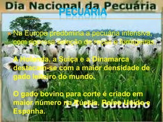 PECUÁRIA
   Na Europa predomina a pecuária intensiva,
    com rigorosa seleção de raças e forrageiras.

    A Holanda, a Suiça e a Dinamarca
    destacam-se com a maior densidade de
    gado leiteiro do mundo.

    O gado bovino para corte é criado em
    maior número na Rússia, Reino Unido e
    Espanha.
 