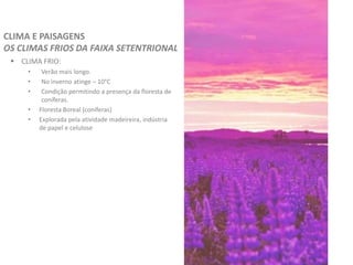  CLIMA FRIO:
• Verão mais longo.
• No inverno atinge – 10°C
• Condição permitindo a presença da floresta de
coníferas.
• Floresta Boreal (coníferas)
• Explorada pela atividade madeireira, indústria
de papel e celulose
CLIMA E PAISAGENS
OS CLIMAS FRIOS DA FAIXA SETENTRIONAL
 