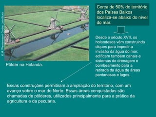Pôlder na Holanda.
K.M.Westermann/Corbis/LatinStock
Essas construções permitiram a ampliação do território, com um
avanço sobre o mar do Norte. Essas áreas conquistadas são
chamadas de pôlderes, utilizados principalmente para a prática da
agricultura e da pecuária.
Cerca de 50% do território
dos Países Baixos
localiza-se abaixo do nível
do mar.
Desde o século XVII, os
holandeses vêm construindo
diques para impedir a
invasão da água do mar;
edificam também canais e
sistemas de drenagem e
bombeamento para a
retirada da água de áreas
pantanosas e lagos.
 