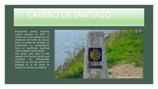 CAMINO DE SANTIAGO
Proclamado primer itinerario
cultural europeo en 1987, el
camino es la ruta seguida por los
peregrinos de todas las épocas
hasta la ciudad de Santiago de
Compostela. La peregrinación
tiene un significado espiritual
cultural desde la Edad Media.
Hay varias rutas pero la más
seguida es el camino francés que
comienza en Roncesvalles
(Navarra). La ruta más bonita sin
embargo es la del Norte de
España. La vieira es su símbolo.
 