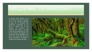 PARQUE NAC. DE GARAJONAY
El parque está situado en el
centro de la isla de la Gomera,
en las islas Canarias (España).
Consiste en un territorio con
pendientes escarpadas en los
límites y posee uno de los
bosques de laurisilva más
extensos del mundo ya que
ocupa aproximadamente un 70%
de su territorio. 81 especies son
endémicas del archipiélago y 31
de la isla y ocho solo de la isla.
Existe abundante humedad y
notables manantiales de agua.
 