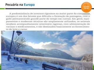 Pecuária na Europa
 