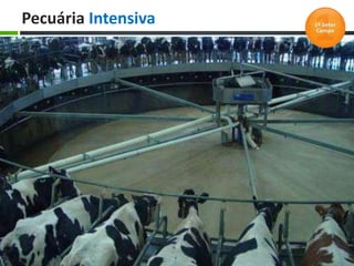 Pecuária Intensiva
 