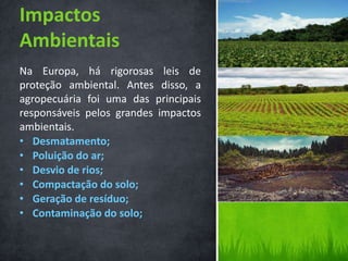 Na Europa, há rigorosas leis de
proteção ambiental. Antes disso, a
agropecuária foi uma das principais
responsáveis pelos grandes impactos
ambientais.
• Desmatamento;
• Poluição do ar;
• Desvio de rios;
• Compactação do solo;
• Geração de resíduo;
• Contaminação do solo;
Impactos
Ambientais
 