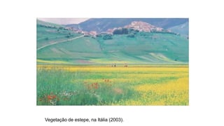 Vegetação de estepe, na Itália (2003).
 