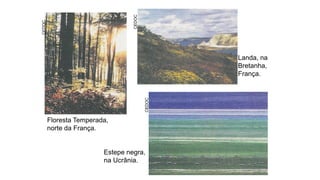 Floresta Temperada,
norte da França.
CEDOC
CEDOC
CEDOC
Estepe negra,
na Ucrânia.
Landa, na
Bretanha,
França.
 