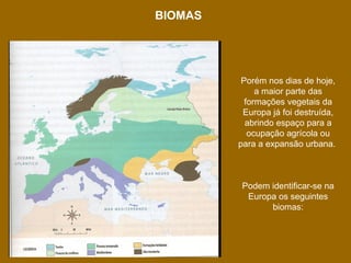 BIOMAS

Porém nos dias de hoje,
a maior parte das
formações vegetais da
Europa já foi destruída,
abrindo espaço para a
ocupação agrícola ou
para a expansão urbana.

Podem identificar-se na
Europa os seguintes
biomas:

 