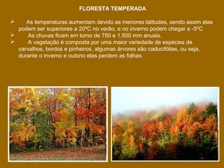 FLORESTA TEMPERADA
As temperaturas aumentam devido as menores latitudes, sendo assim elas
podem ser superiores a 20ºC no verão, e no inverno podem chegar a -5ºC

As chuvas ficam em torno de 750 e 1.500 mm anuais.

A vegetação é composta por uma maior variedade de espécies de
carvalhos, bordos e pinheiros, algumas árvores são caducifólias, ou seja,
durante o inverno e outono elas perdem as folhas.


 