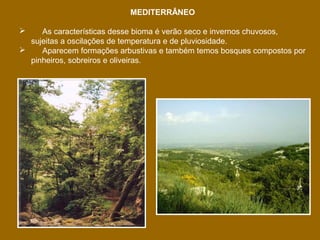 MEDITERRÂNEO
As características desse bioma é verão seco e invernos chuvosos,
sujeitas a oscilações de temperatura e de pluviosidade.

Aparecem formações arbustivas e também temos bosques compostos por
pinheiros, sobreiros e oliveiras.


 