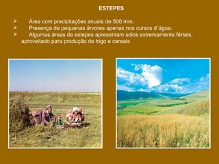 ESTEPES




Área com precipitações anuais de 500 mm.
Presença de pequenas árvores apenas nos cursos d´água.
Algumas áreas de estepes apresentam solos extremamente férteis,
aproveitado para produção de trigo e cereais

 