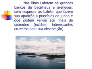 Nas Ilhas Lofotem há grandes bancos de bacalhaus e arenques, sem esquecer às baleias que fazem sua aparição a princípios de junho e que podem ver-se até finais de setembro (existem interessantes cruzeiros para sua observação). 