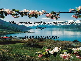 Não gostaria você de conhecer esse lugar  MARAVILHOSO? 