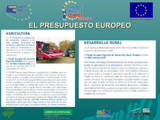 EL PRESUPUESTO EUROPEOEL PRESUPUESTO EUROPEO
 
