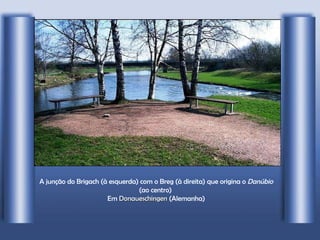 A junção do Brigach (à esquerda) com o Breg (à direita) que origina o  Danúbio  (ao centro)   Em  Donaueschingen  (Alemanha) 
