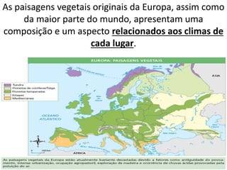 As paisagens vegetais originais da Europa, assim como
da maior parte do mundo, apresentam uma
composição e um aspecto relacionados aos climas de
cada lugar.
 