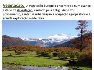 Vegetação: A vegetação Européia encontra-se num avanço
estado de devastação, causado pela antiguidade do
povoamento, a intensa urbanização a ocupação agropastoril e a
grande exploração madeireira.
 